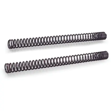 Progressive Fork Spring Kit Hot Deal