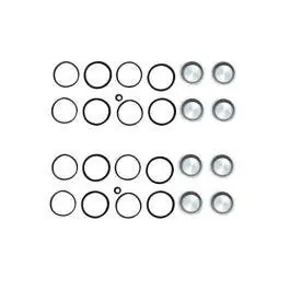 Cycle Pro 19257 Caliper Seal & Piston Kit Pair Dual 4 Piston Brembo Style Calipers Budget