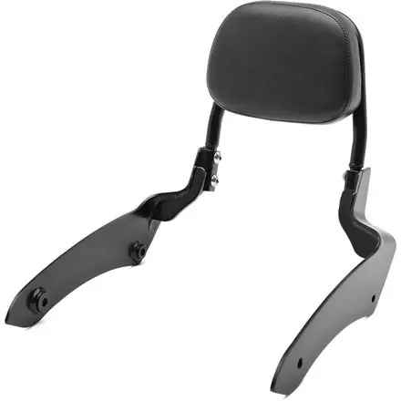 Brand New Genuine Kawasaki Accessories     Passenger Backrest