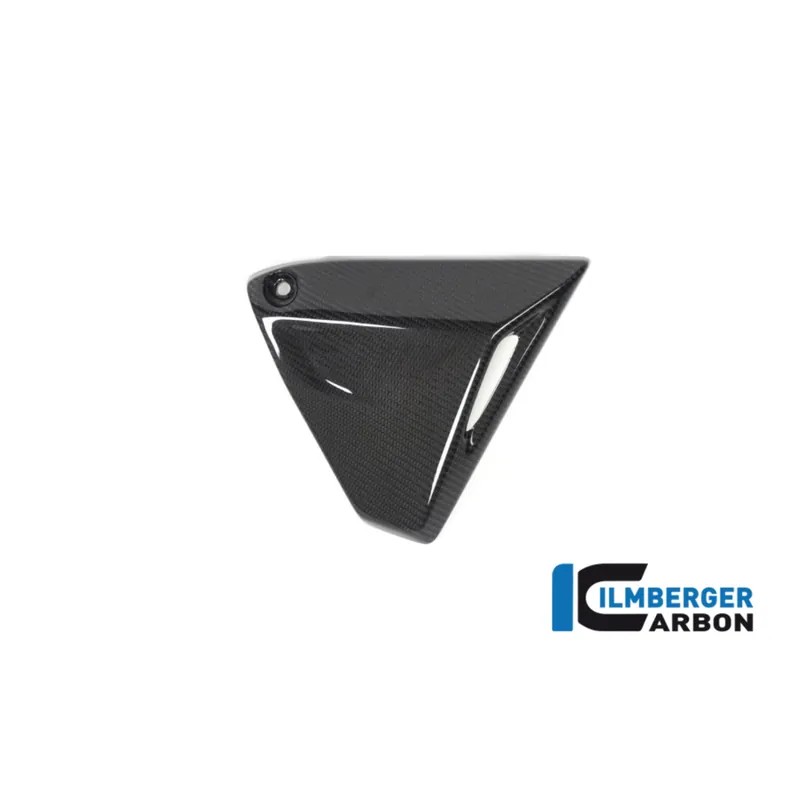 Modern Carbon Fiber Frame Triangle Cover Right Side by Ilmberger Carbon BMW / R1250R / 2021