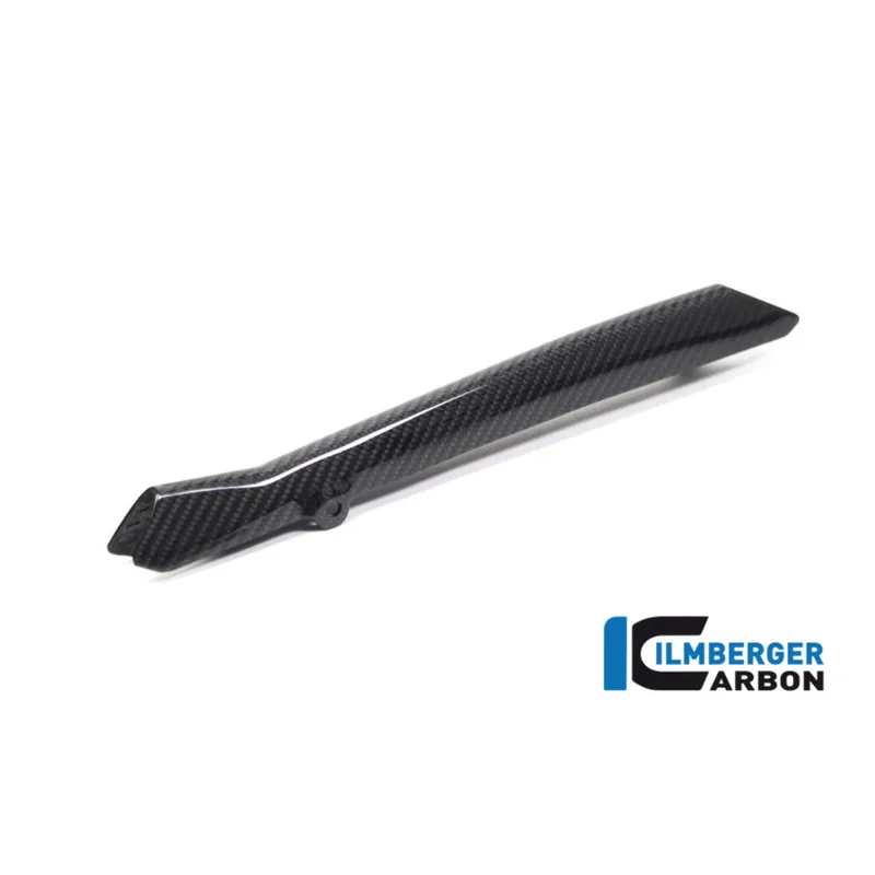 Direct From Factory Carbon Fiber Brake Pipe Cover by Ilmberger Carbon BMW / R1250R / 2022